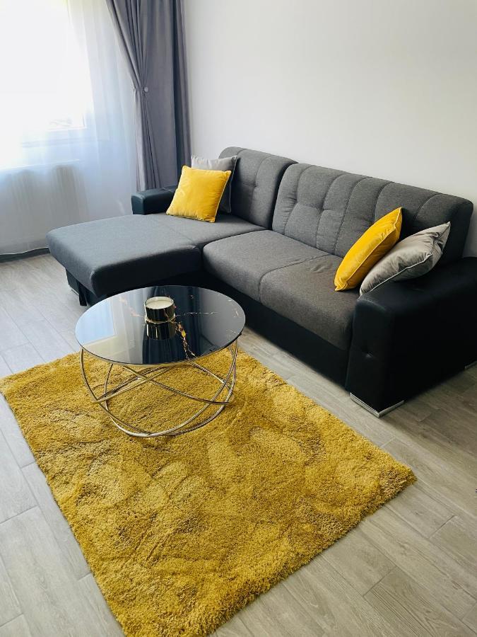 Timisoara Central Apartment New Parking !! Eksteriør billede